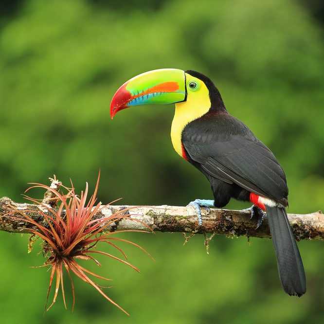 Costa Rica