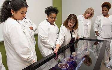 Instructor shows students a digital display of human anatomy.