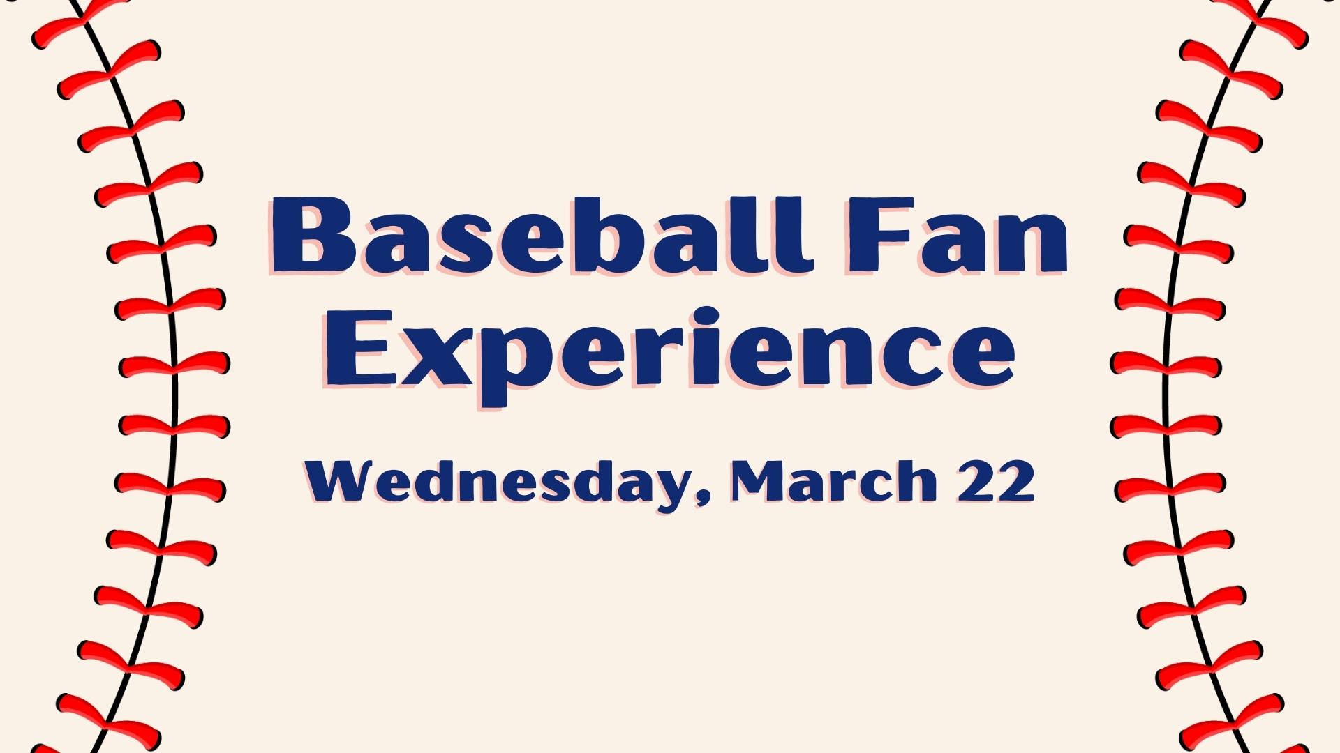 Baseball Fan Experience
