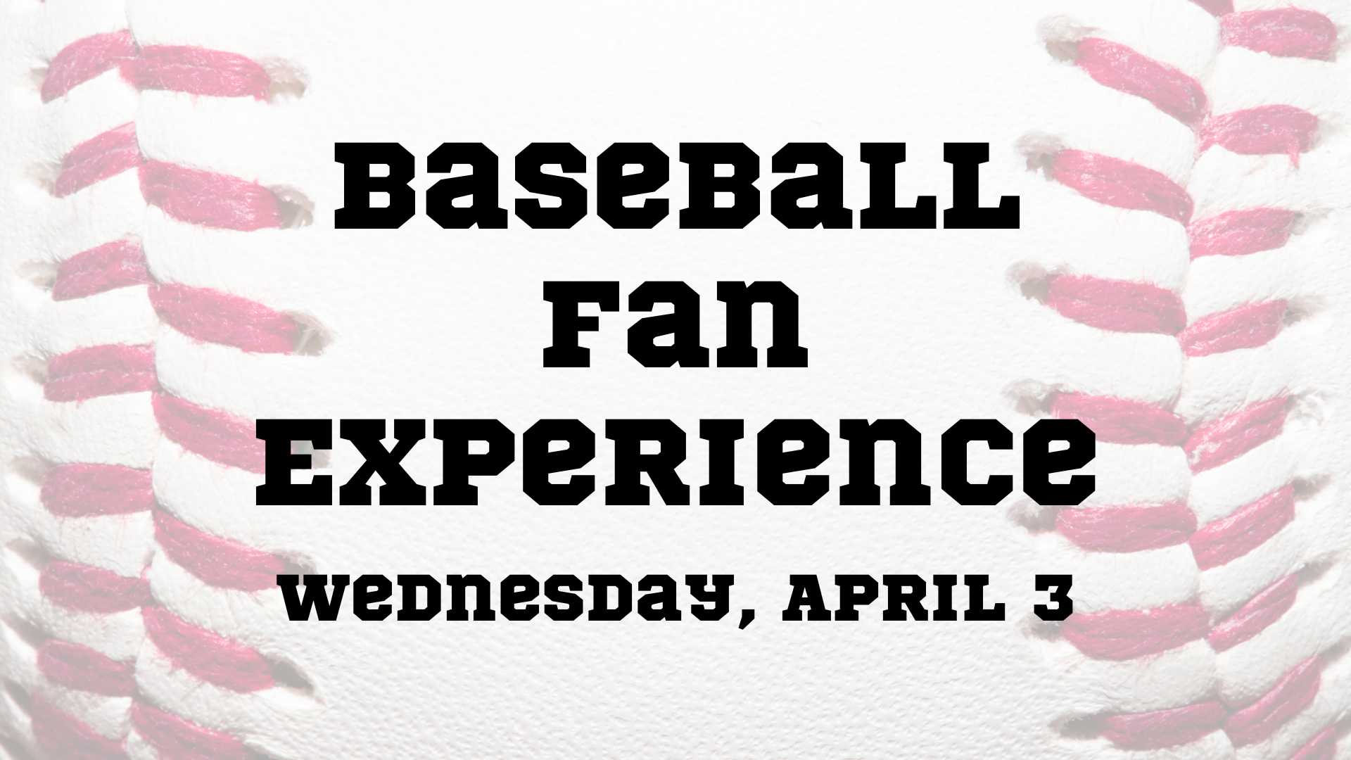 Baseball Fan Experience graphic